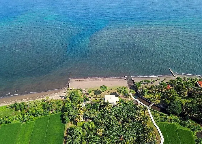 Brits Lovina 4* BALI